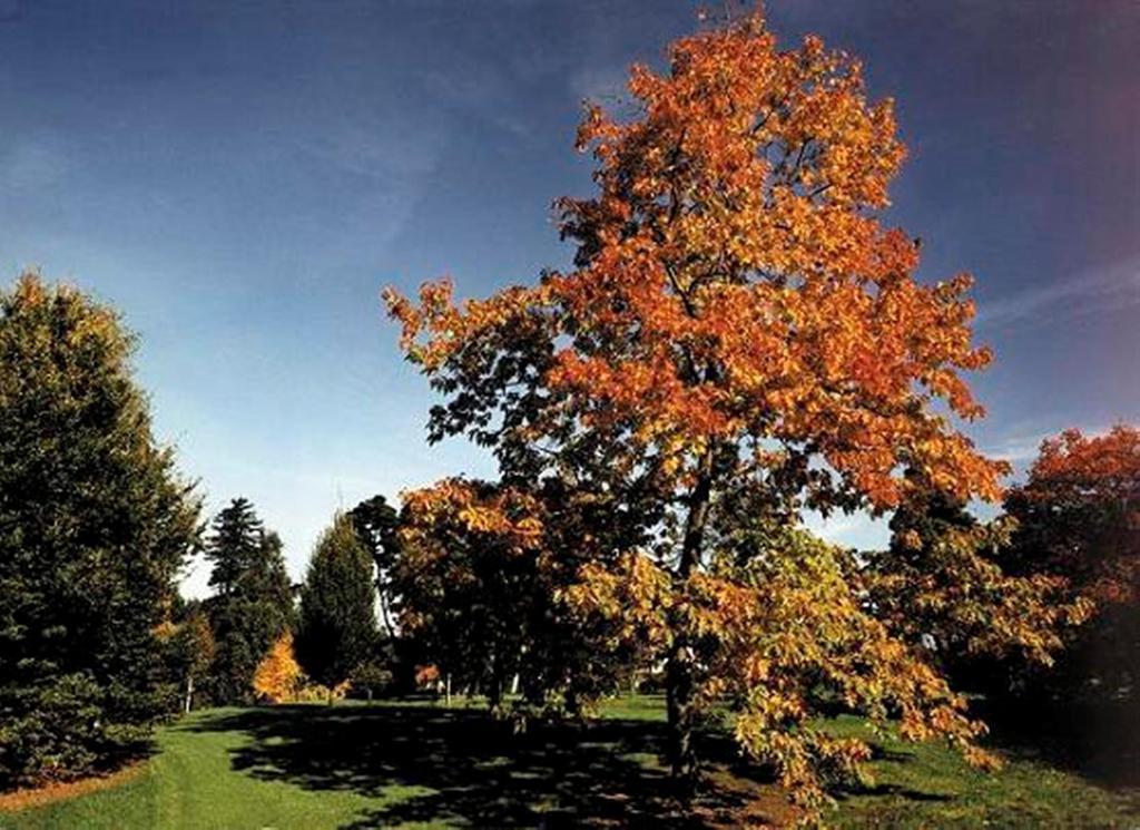 West Lodge Park Barnet Exteriör bild
