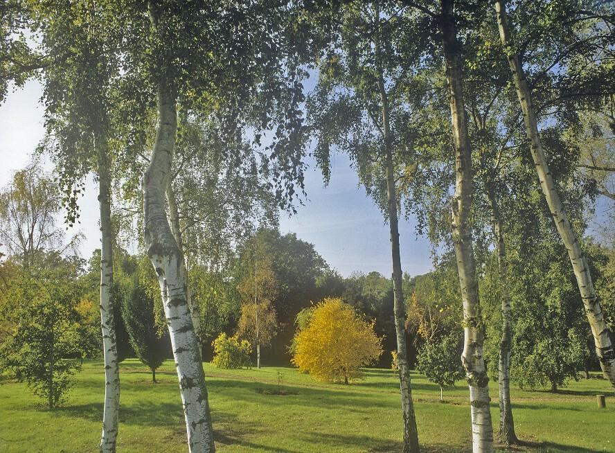 West Lodge Park Barnet Exteriör bild